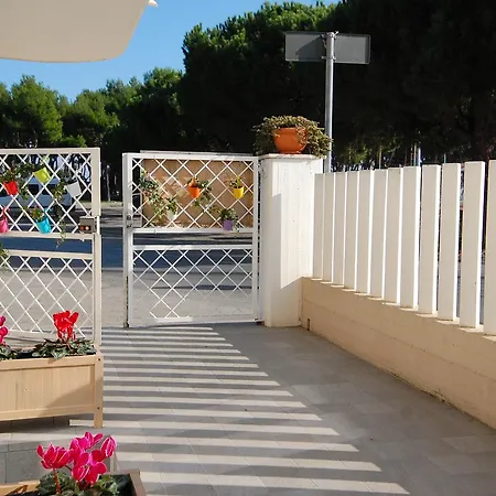 Incanto Sotto Il Mare